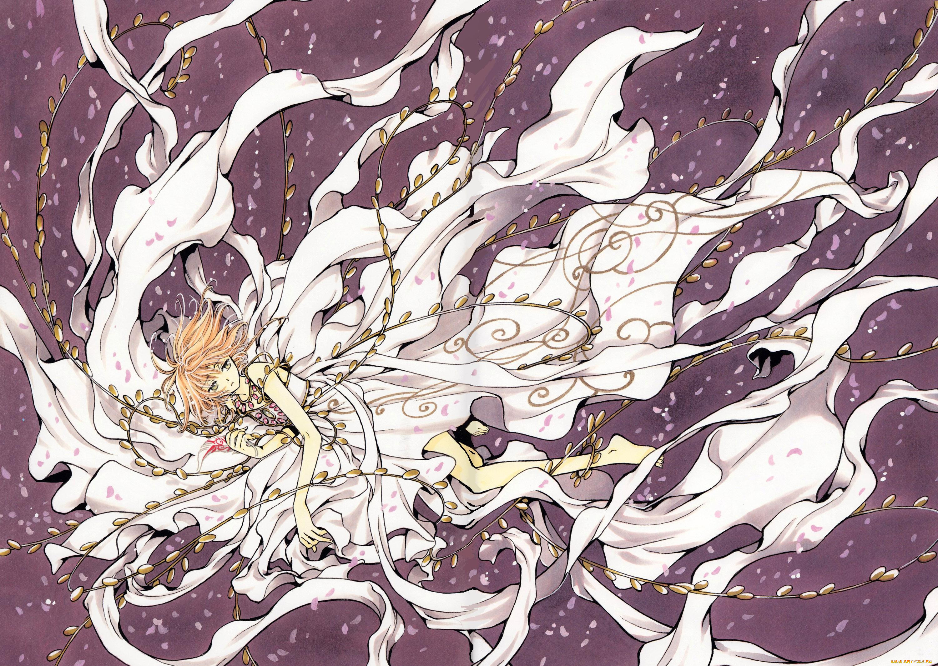 , tsubasa reservoir chronicles, , , , 